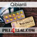 Qibianli new06